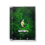 Nature Cinematic LUTS